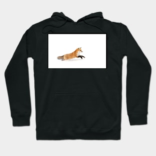 Running Fox - Algonquin Park Hoodie